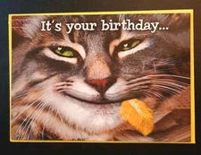 Funny Birthday Card 