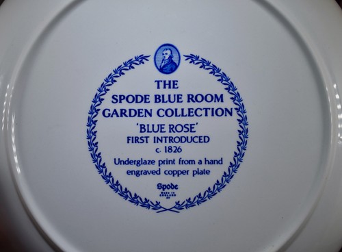 VINTAGE SPODE BLUE ROOM GARDEN COLLECTION ROSE 12" PASTA SERVING BOWL YELLOW BKG - Picture 3 of 5