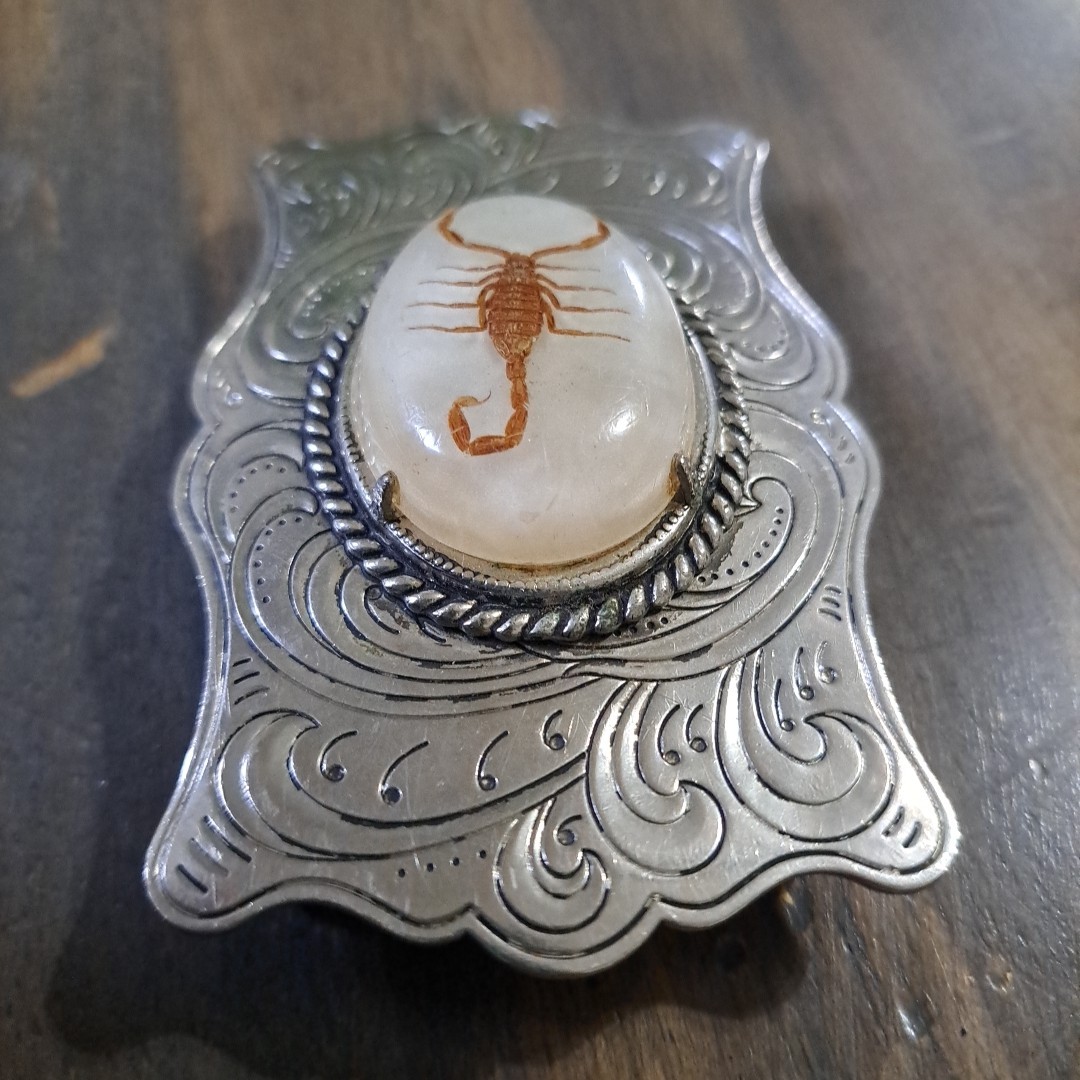 Vintage Real Scorpion Belt Buckle Encased In Resin Cowboy