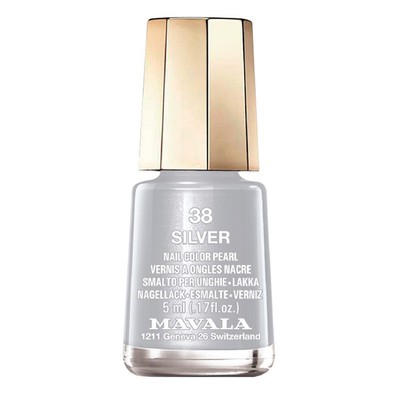Nail Polish 38 Silver 5ml (Nr.BT22419)