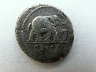 Beau et rare République Romaine Denier Elephant Jules César.