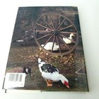 Picture 6 of 6