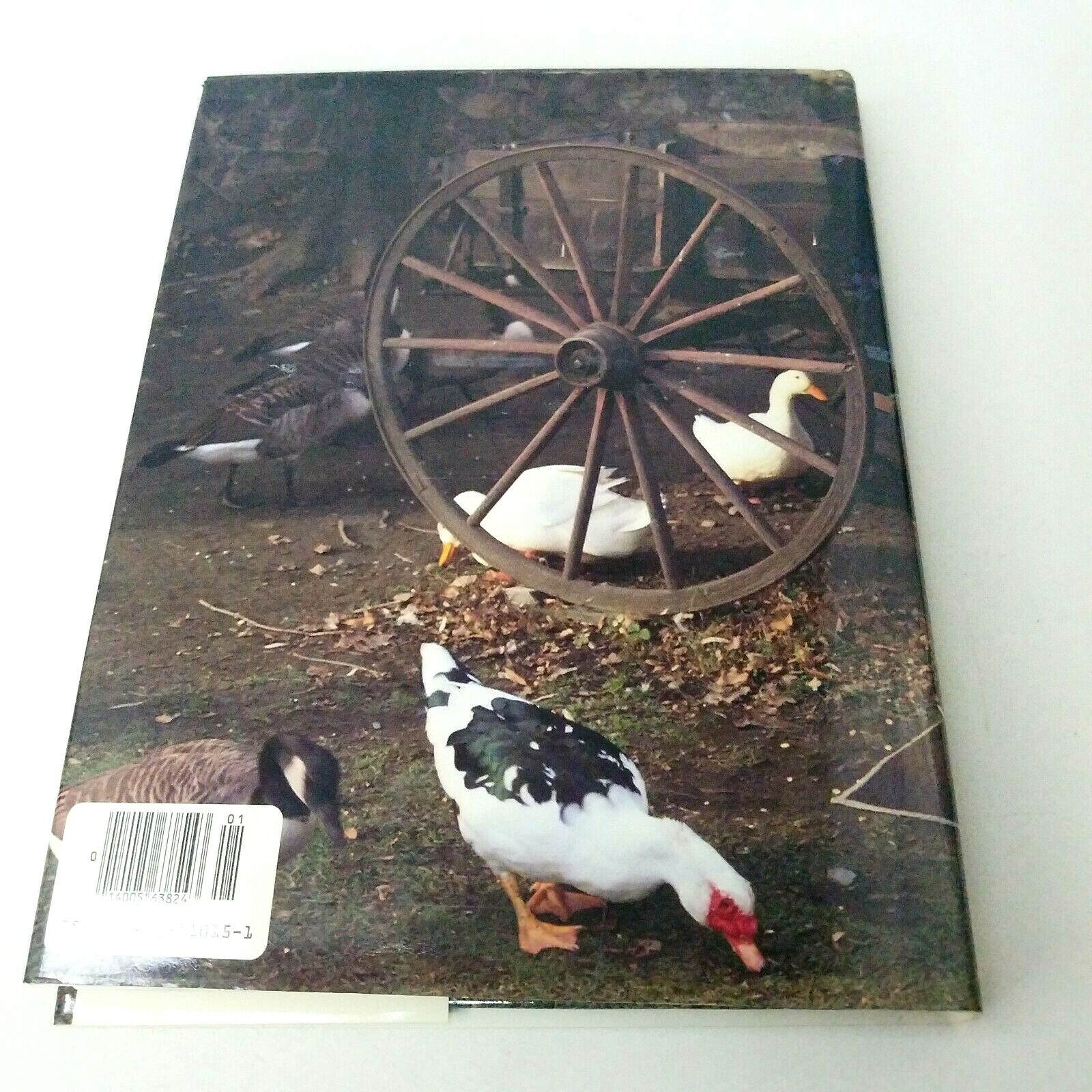 Picture 6 of 6