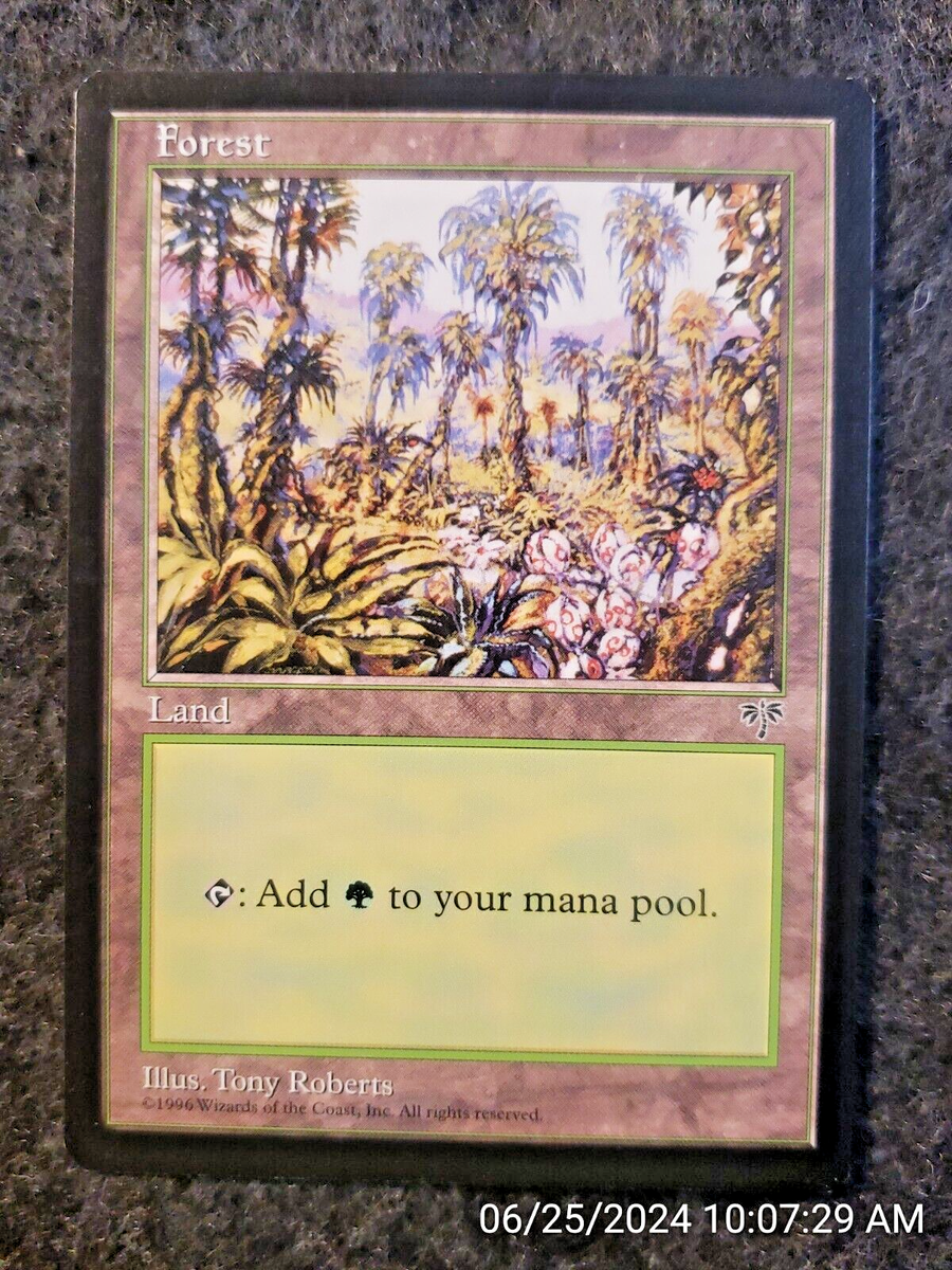 MTG Far Out, Man１箱 Forest (A) Mirage HEAVILY PLD Basic Land MAGIC THE GATHERING MTG