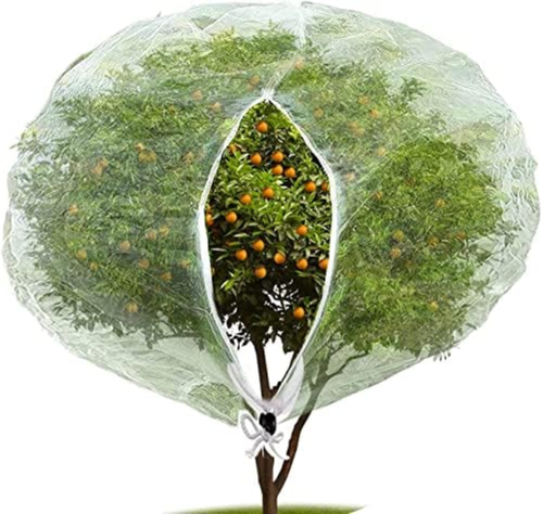 Rete da 2*2,4 m per alberi da frutto con cerniera e coulisse, copertura protettiva anti-uccelli per mirtilli, bacche, frutti di bosco | Leroy Merlin