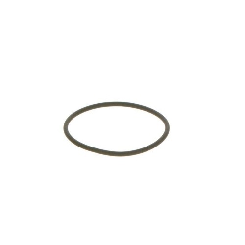 Dichtring Bosch F00N201306 FüR Daf Iveco Man Cummins Mwm International-image