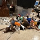 Ty Beanie Babies Mixed Lot#2, 25 vintage Plush Stuffed Animals w/ Heart Tags — photo 3