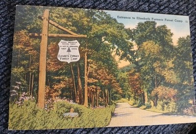 Entrance to Elizabeth Furnace Forest Camp Virginia  Linen Postcard