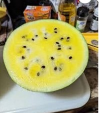 25 Sweet Yellow Watermelon Seeds . Non GMO True To Color . Free Shipping