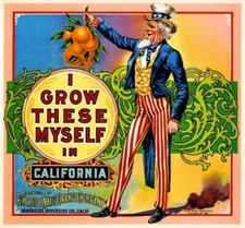 I Grow These Myself Riverside Oranges Citrus Fruit Crate Uncle Sam Label Print