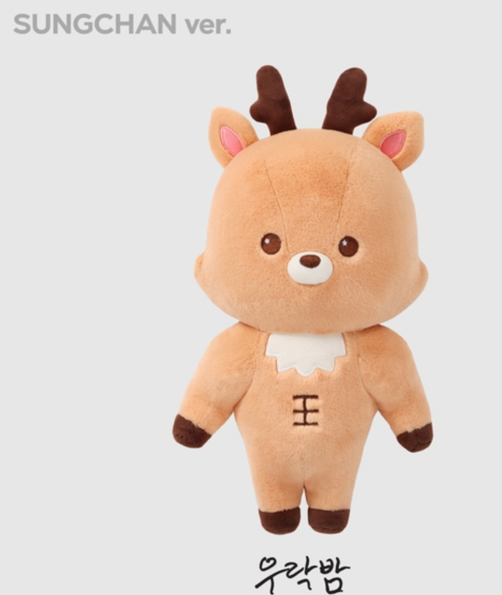 RIIZE 40cm doll 2024 RIIZE FAN CON RIIZING DAY FINALE | eBay