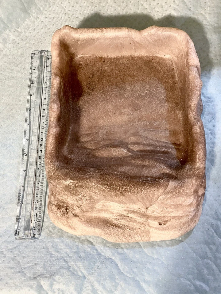 Zoo Med Repti Ramp Bowl (XLarge) Foto 3 de 3