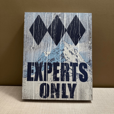 Experts Only Ski Theme Wall Decor EUC