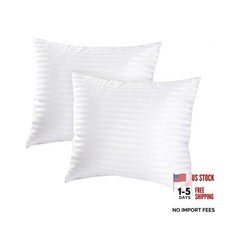 Throw Pillow Inserts, Machine Washable Pillows,Premium 18x18inch White