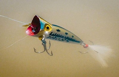 Rebel Magnum Pop R 3In 2Oz Topwater Popper Bass Striper Fishing