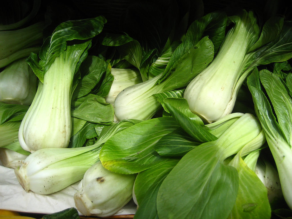 500 Samen Baby Pak Choi schnellwachsender Senfkohl Blätterkohl Asia-Kohl