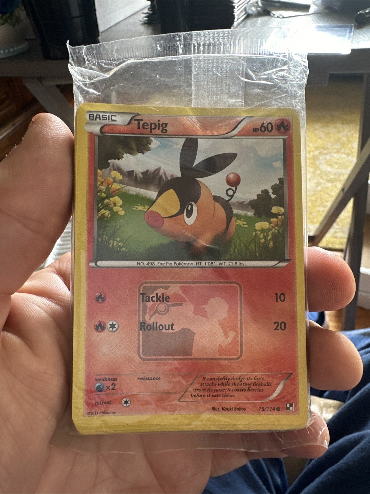 Pokemon Tepig 15/114 June 2011 League Promo Pack SEALED!! 40 Cards