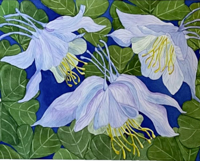 PAINTING WATERCOLOR 11X14 & MAT 16X20 FLOWER COLUMBINE BLUE PURPLE ORIGINAL ART
