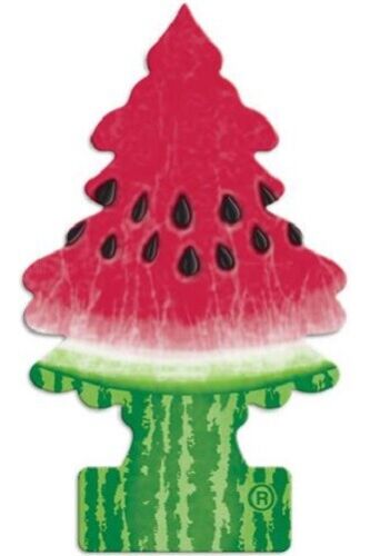 Little Trees Hanging Air Freshener Choose Scent Car Truck RV Home Office 6/10/24 - Picture 23 of 41