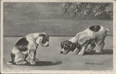 Vintage Dog ENGLISH POINTER PUPPIES Maude Scrivener Series #5237 1904 Postcard 