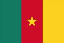Fahne Flagge Kamerun Hissflagge Fanflagge 90x150
