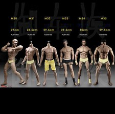 TBLeague Male Body 1/6 Scale Muscular Seamless Figure for 12in Action Figures