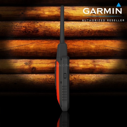 Garmin Alpha 300 GPS Handheld Bundle Alpha T20 Dog Tracking Collar - 第 7/24 張圖片