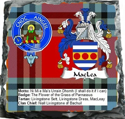Scottish Clan Crest MacIea Rock Slate 14cm x 14cm Top Qualität Schiefer