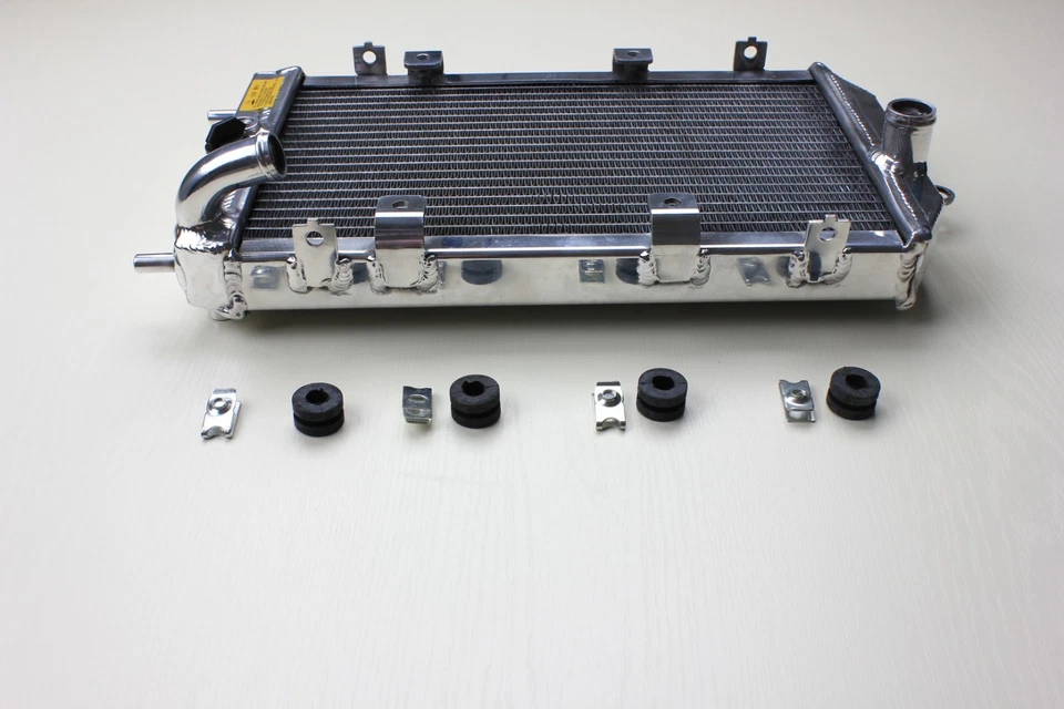 Radiador de repuesto para Kawasaki 1600 Vulcan 1600 2004-2008 VN1600B Mean Streak Foto 3 de 4