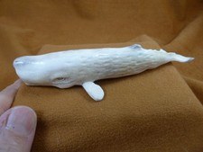 Whal-w134 large Sperm Whale of shed ANTLER figurine Bali detailed carving