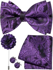 Paisley Bow Tie for Men Silk Woven Pre-tied Bowtie and Pocket Black and Purple