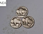 1913+1913-D+1913-S Buffalo Nickel Set/Lot ~ Type 1 ~ ZBL31