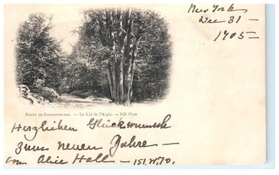 Antique 1905 Forêt de Fontainebleau Le Nid de l'Aigle Litho Postcard