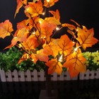 Bild 9 von 12
