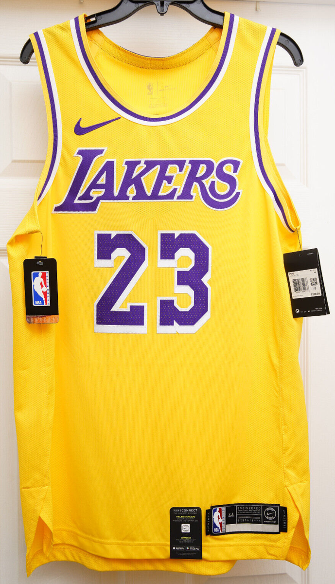 Lebron James LA Lakers Nike Authentic NBA Icon Edition Jersey 2020