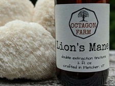 Lion's Mane Tincture double extraction fungus extract mushroom herbal natural