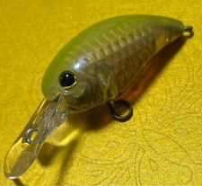 Original Color3rd Generation Panicra MR Area Trout