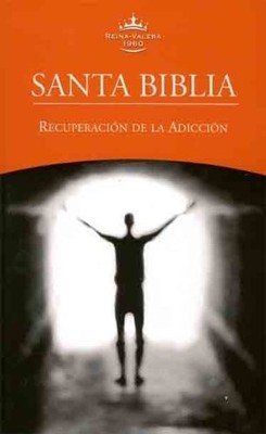 Santa Biblia de Promesas Reina-Valera 1960 - Edicion Para Ninos Paperback