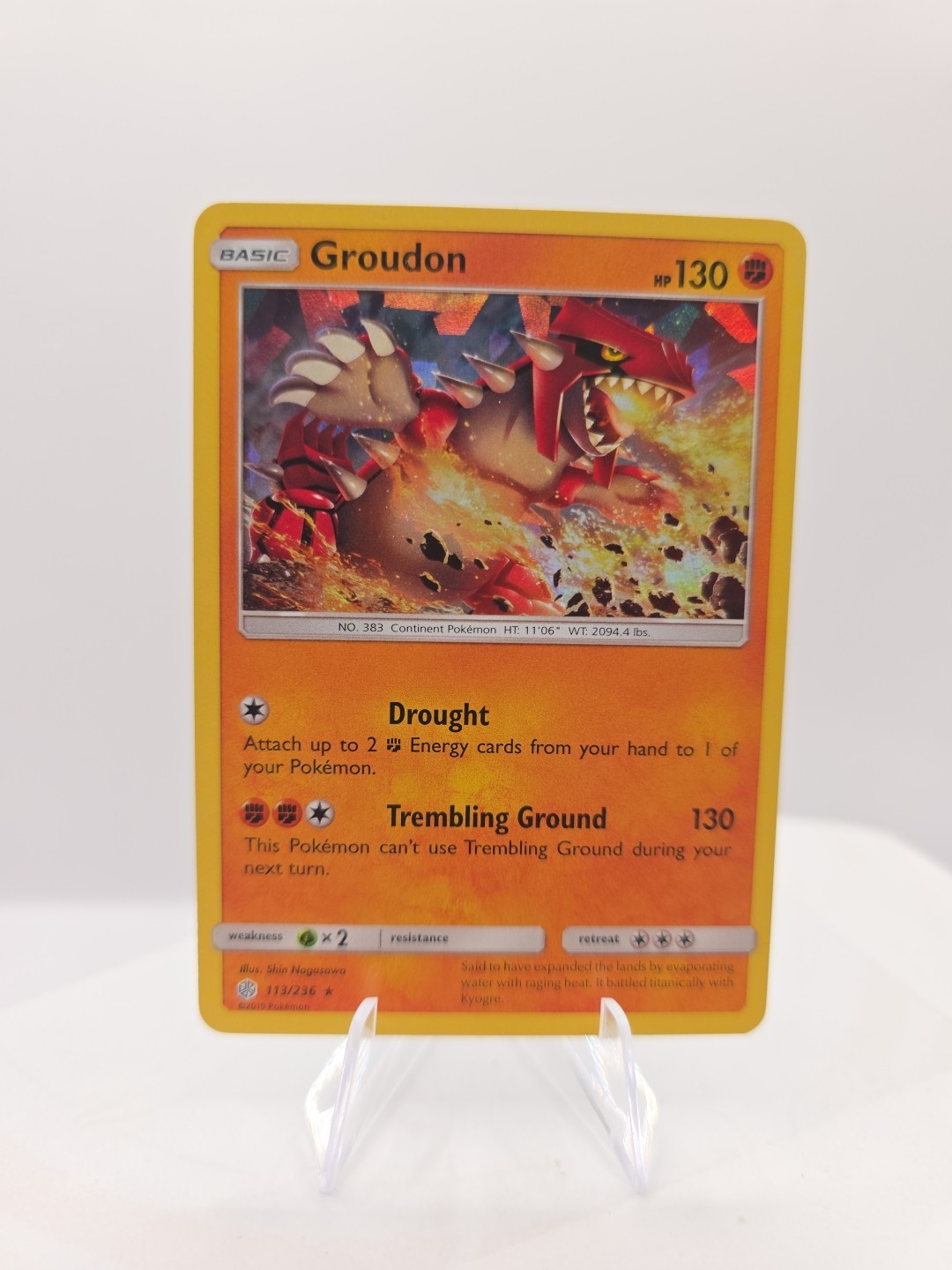 Groudon - (Cracked Ice Holo) Holo Holo Rare Deck Exclusives 113/236 NM
