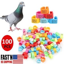100 Leg Bands Plastic Bird Chicken Pheasant Poultry Duck Bird Leg Rings ID Tag