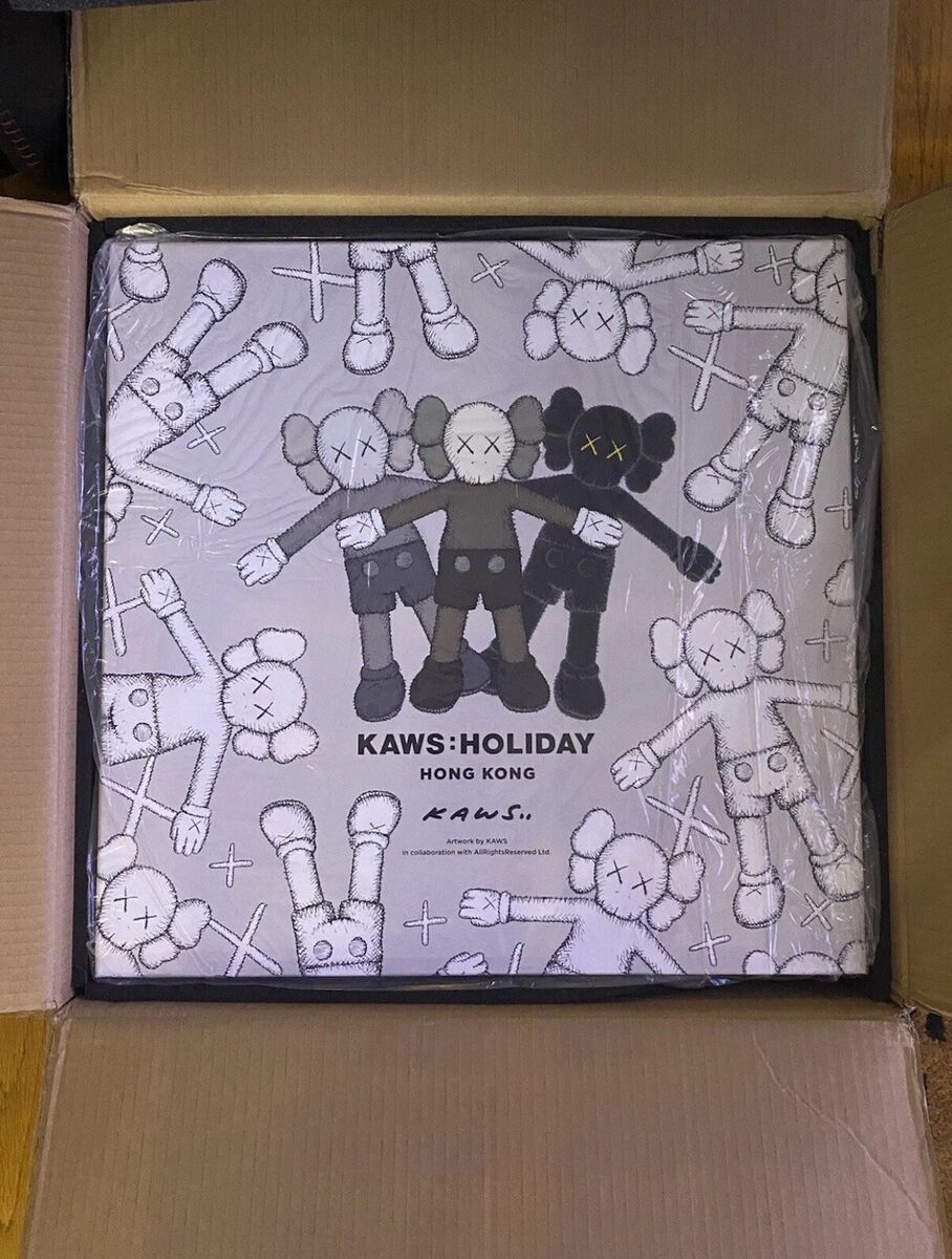 KAWS 20 KAWS 20