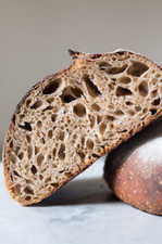 OUR BEST SAN FRANCISCO SOURDOUGH STARTER yeast the WHARF SUPER TANGY BEST SELL