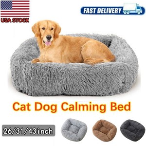xl memory foam dog bed