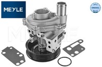 Meyle 7132200010 Wasserpumpe Wapu FüR Ford FüR Land Rover