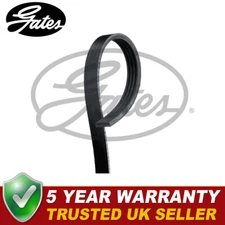 Gates V-Ribbed Belts Fits Renault Clio (2000-2012) - 4PK905