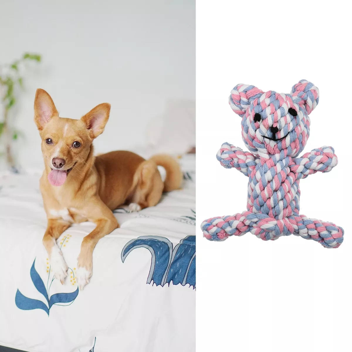 Rope bear dog toy online