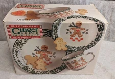 TIENSHAN GINGERBREAD FOLKCRAFT CHINA STONEWARE 16 Piece Set in Original Box