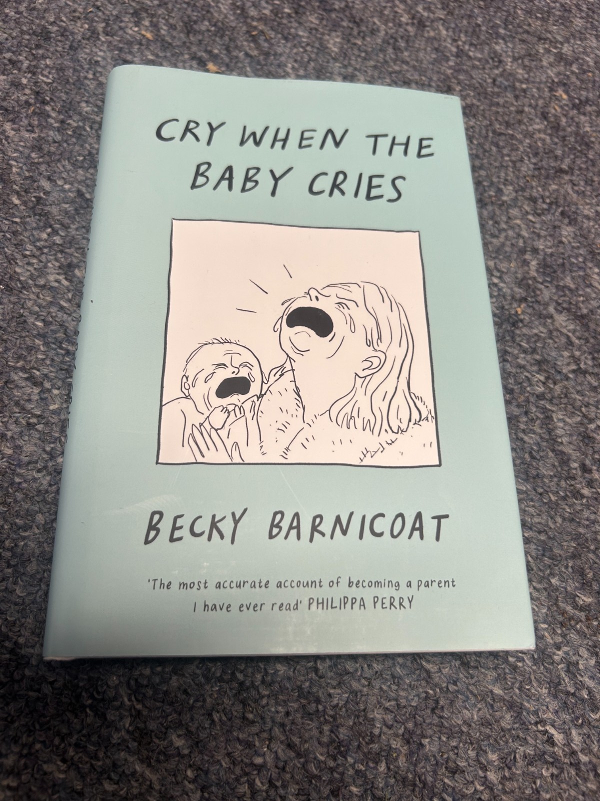 Cry When the Baby Cries by Becky Barnicoat (Hardback) NEW - Free P+P