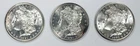 LOT OF 3 GEM BU+++ MORGAN DOLLARS! OUTSTANDING COLLECTOR SET! NICE! NR #G3021