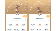  Non Shiny Mudbray (Nicht Schillernd Pampuli)...